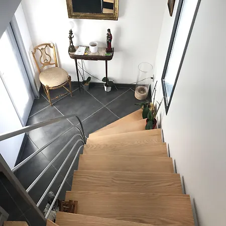 Les Algues Du Grau