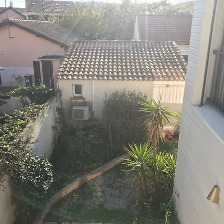 Les Algues Du Grau